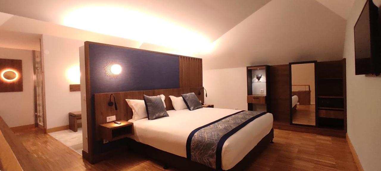 Hotel Villa Odon Вільявісіоса-де-Одон Екстер'єр фото